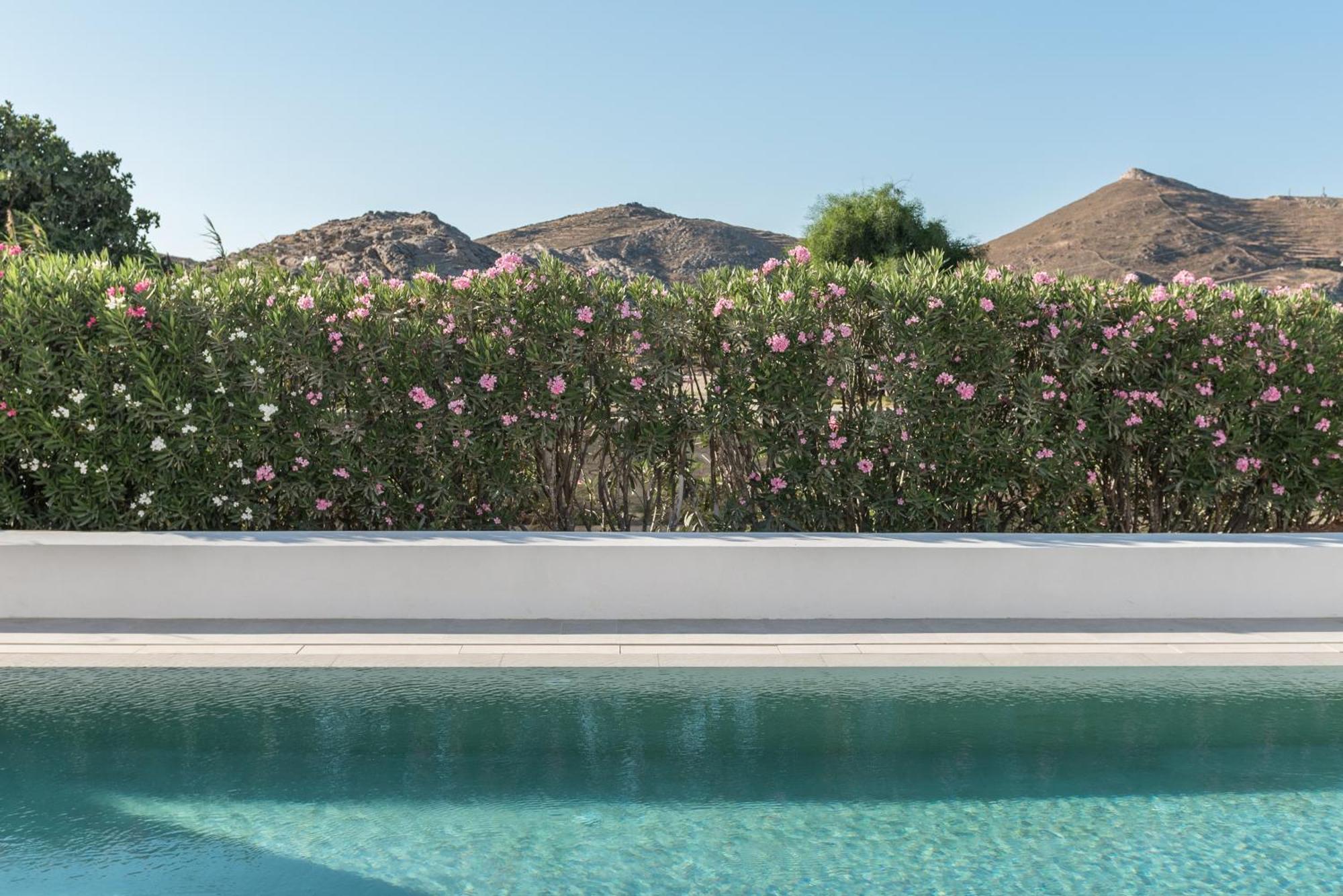 Parilio, A Member Of Design Hotels Náousa Eksteriør bilde